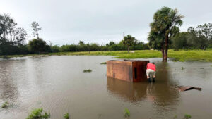 Hurricane Milton: Impact and Aftermath